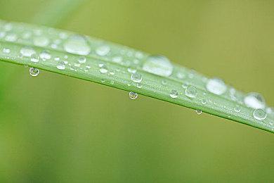 《GTA三部曲》成网飞游戏应用史上最大发布